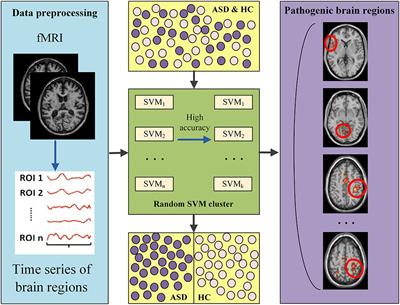 Identification of Pathogenetic Brain Regions via Neuroimaging Data for Diagnosis of Autism Spectrum Disorders